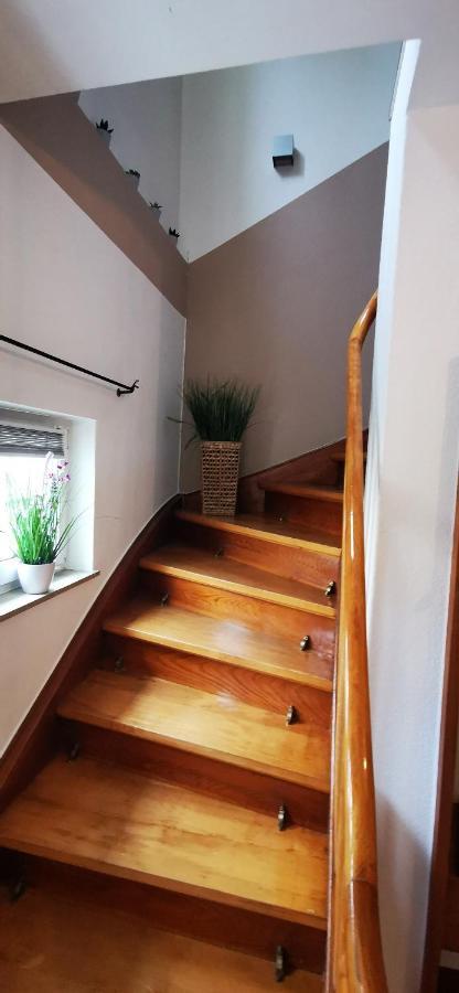 Ferienwohnung Palmenwald Freudenstadt Extérieur photo